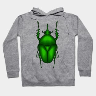 Mecynorhina torquata bug cartoon illustration Hoodie